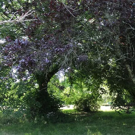 Bed and breakfast Arts & Passion 3*