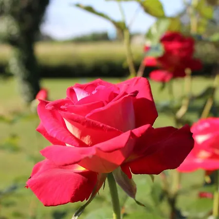 Bed and breakfast Arts & Passion