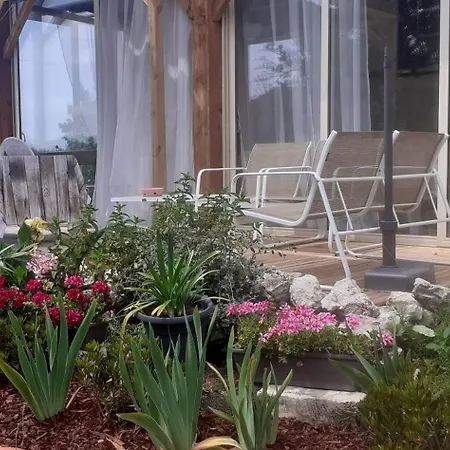 Arts & Passion Bed & Breakfast