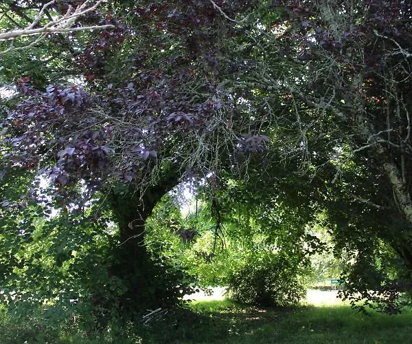 Frühstückspension Arts & Passion 3*