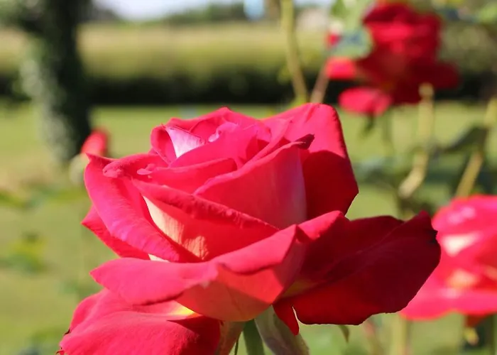 Frühstückspension Arts & Passion